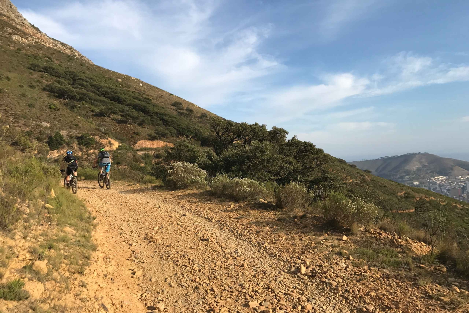 Cape Town: Mountainbike-tur langs Taffelbjerget
