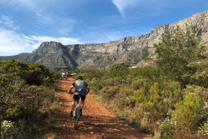 Cape Town: Mountainbike-tur langs Taffelbjerget