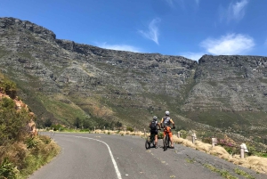 Cape Town: Mountainbike-tur langs Taffelbjerget