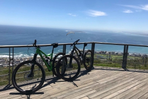 Cape Town: Mountainbike-tur langs Taffelbjerget