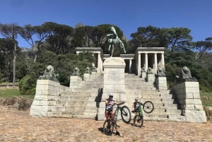 Cape Town: Mountain Biking Trip on Table Mountain