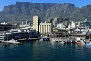 Kapstaden Must-Do 3 dagars privat rundtur (inkluderar hotellrum)