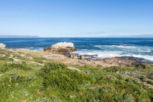 Cape Town Must-Do 4-dniowa prywatna wycieczka (w tym zakwaterowanie w hotelu)