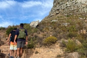 Le Cap : randonnée incontournable à Lion's Head