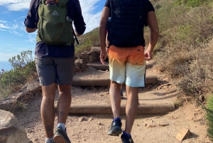 Le Cap : randonnée incontournable à Lion's Head