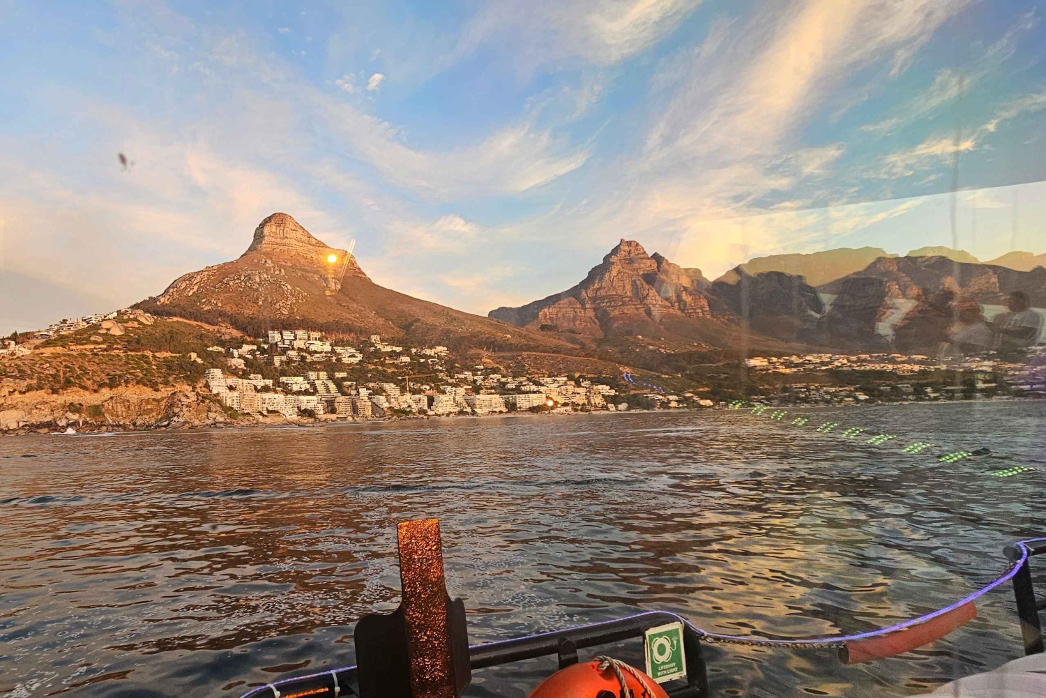 Cidade do Cabo: Safári Oceânico de 1 hora