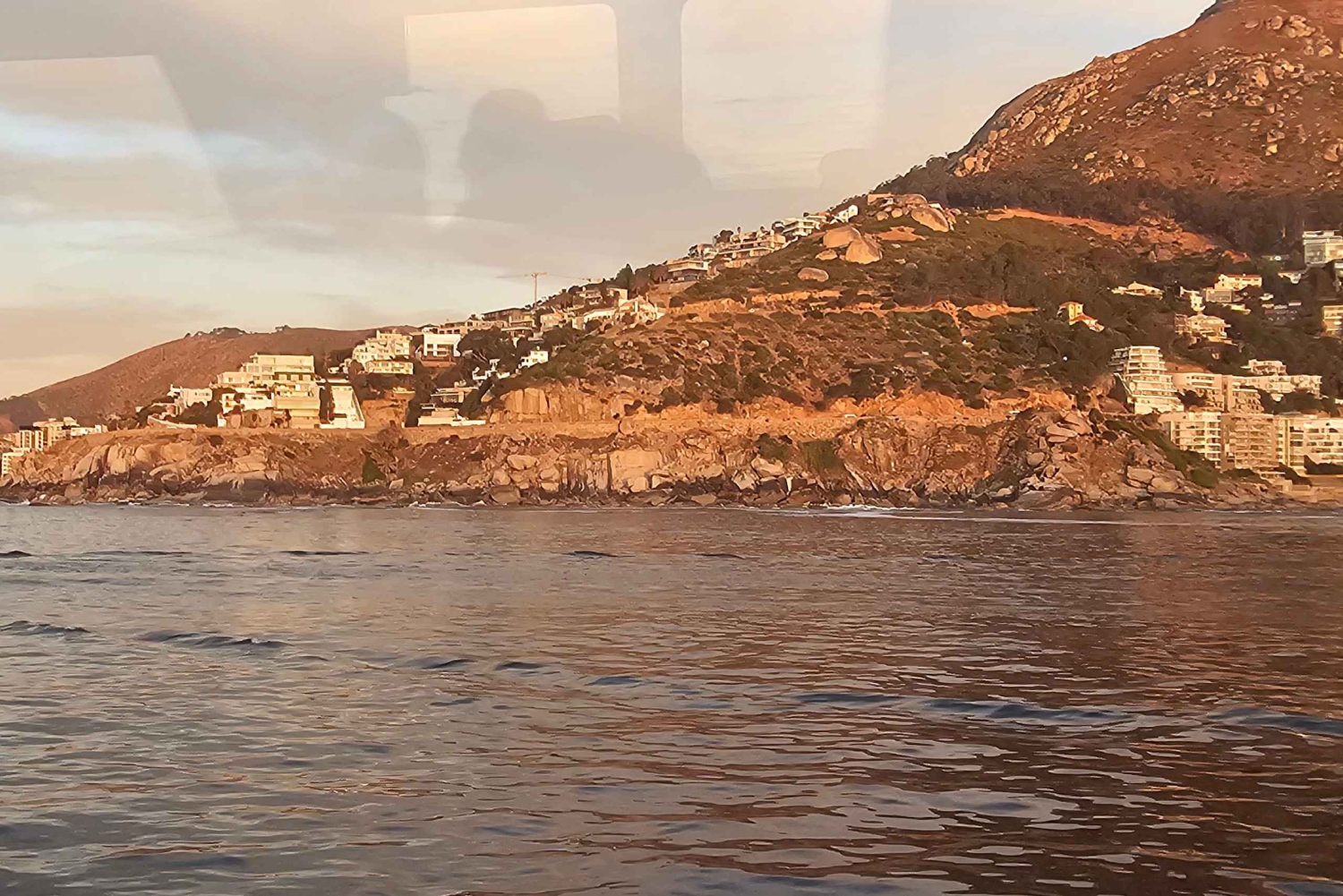 Cidade do Cabo: Safári Oceânico de 1 hora