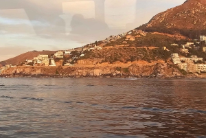 Cidade do Cabo: Safári Oceânico de 1 hora