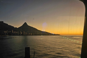 Cidade do Cabo: Safári Oceânico de 1 hora
