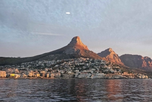 Cidade do Cabo: Safári Oceânico de 1 hora
