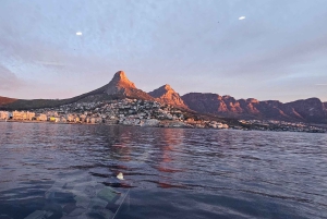 Cidade do Cabo: Safári Oceânico de 1 hora