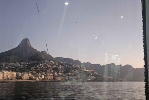 Cidade do Cabo: Safári Oceânico de 1 hora