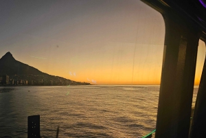 Cidade do Cabo: Safári Oceânico de 1 hora