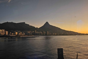Cidade do Cabo: Safári Oceânico de 1 hora