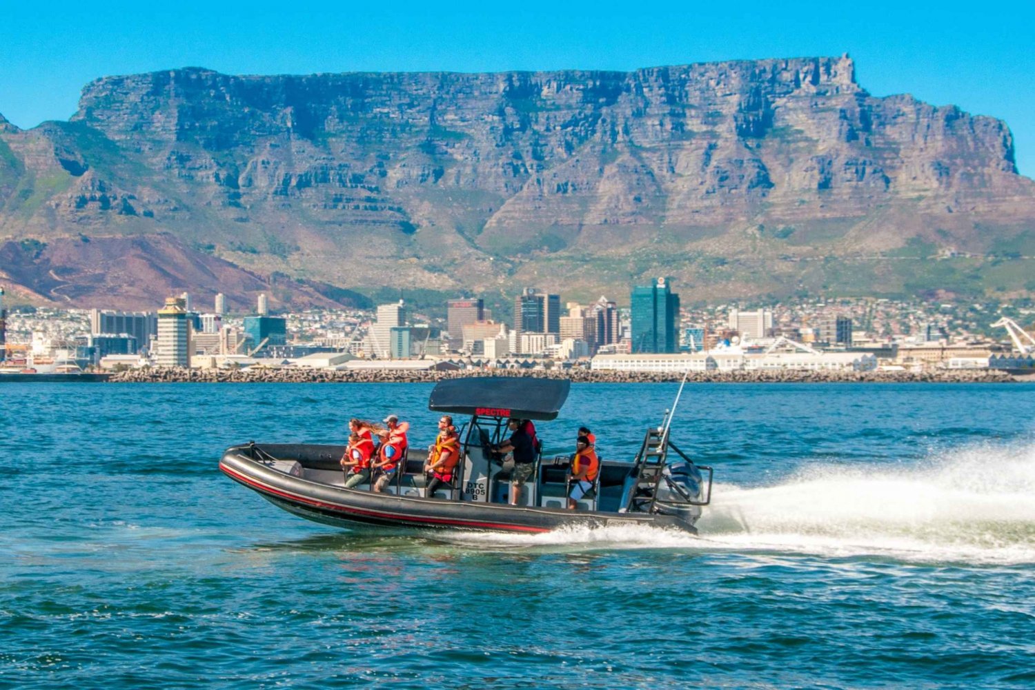 Cape Town Ocean Safari: przygoda łodzią motorową w zatoce Table Bay