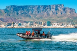 Океанское сафари в Кейптауне: приключение на скоростной лодке в Столовой бухте