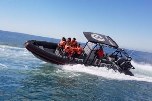 Kapstadt: Speedboot-Abenteuer in der Tafelbucht