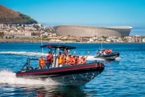 Океанское сафари в Кейптауне: приключение на скоростной лодке в Столовой бухте