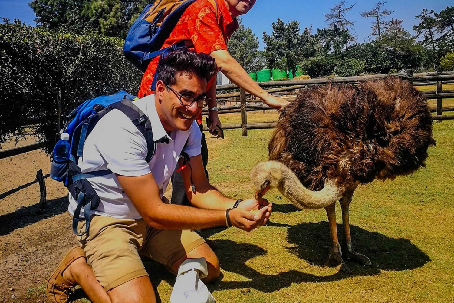 KAPSTADEN: STRUDSERANCH QUAD BIKE RIDE & STRUDSETUR