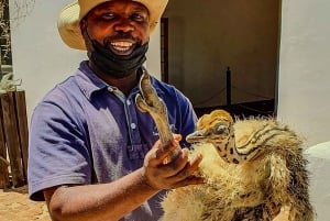 KAPSTADEN: STRUDSERANCH QUAD BIKE RIDE & STRUDSETUR