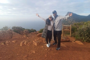 Kapkaupunki .Penguin & Cape of good hope Half day Share Tour (puoli päivää)