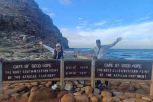 Kapkaupunki .Penguin & Cape of good hope Half day Share Tour (puoli päivää)