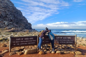 Kapkaupunki .Penguin & Cape of good hope Half day Share Tour (puoli päivää)