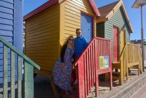 Kapkaupunki .Penguin & Cape of good hope Half day Share Tour (puoli päivää)