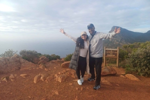 Кейптаун. Пингвин и мыс Доброй Надежды. Экскурсия на полдня.