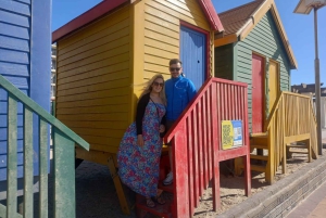 Кейптаун. Пингвин и мыс Доброй Надежды. Экскурсия на полдня.