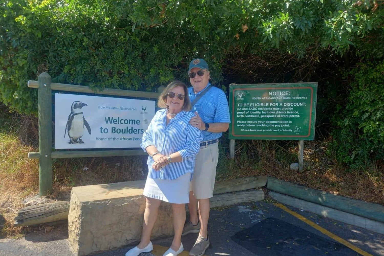 Le Cap : visite d'une demi-journée pour observer les pingouins à Boulders Beach