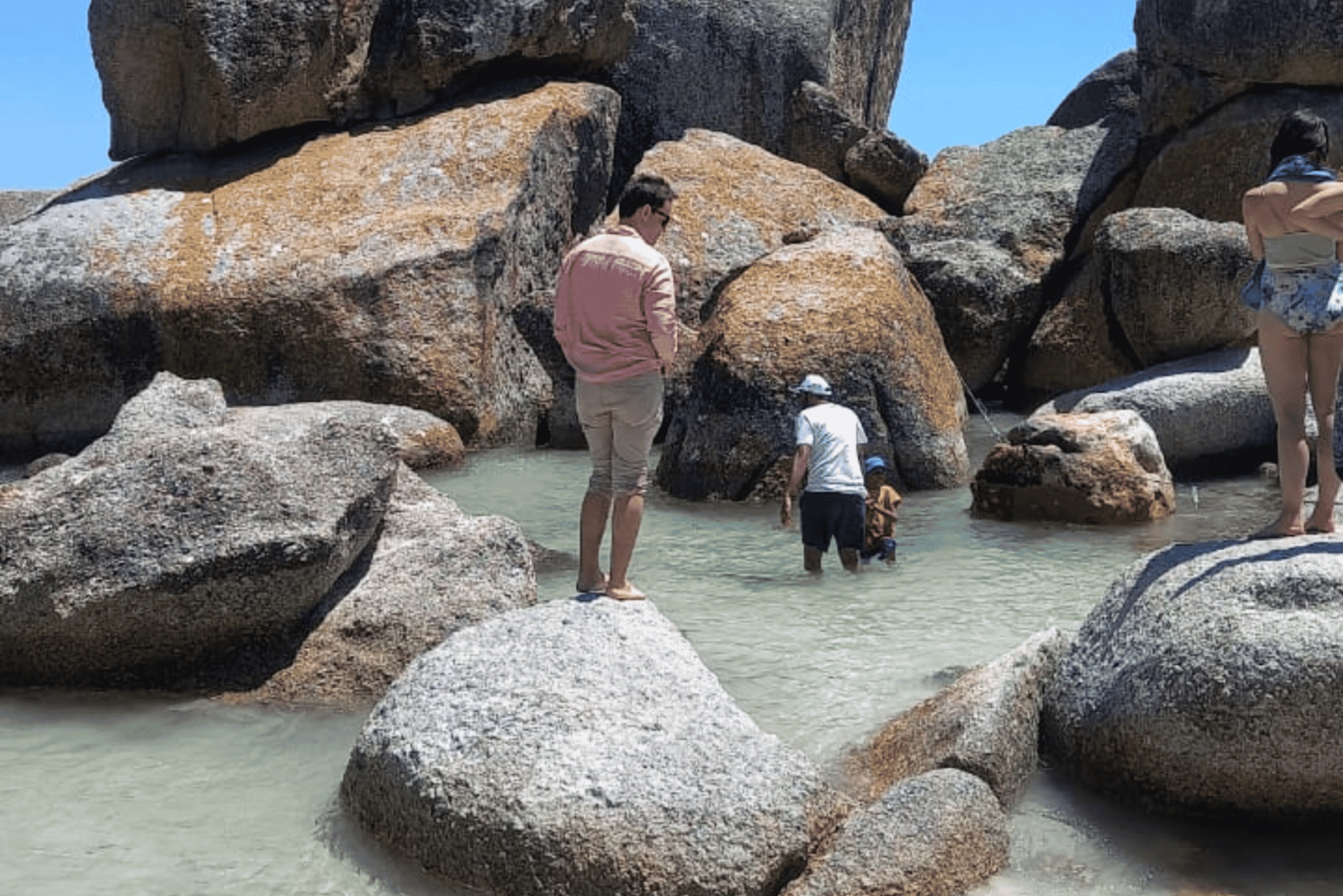 Le Cap : visite d'une demi-journée pour observer les pingouins à Boulders Beach