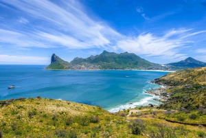 Cape Town: Penguin Watching at Boulders Beach Half Day Tour
