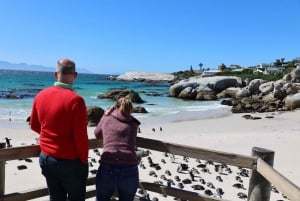 Cape Town: Halvdagstur med pingvinobservasjon på Boulders Beach