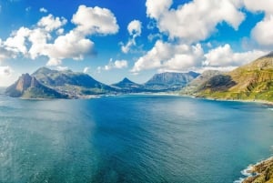 Cape Town: Halvdagstur med pingvinobservasjon på Boulders Beach