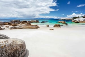 Cape Town: Halvdagstur med pingvinobservasjon på Boulders Beach