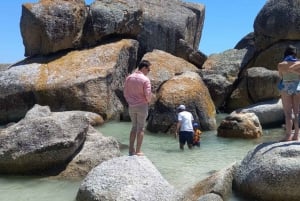 Kapstaden: Halvdagstur med pingvinskådning vid Boulders Beach