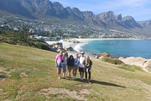 Кейптаун: наблюдение за пингвинами на полудневном туре по пляжу Боулдерс
