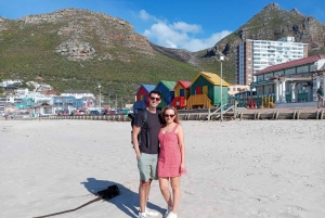 Le Cap : visite d'une demi-journée pour observer les pingouins à Boulders Beach