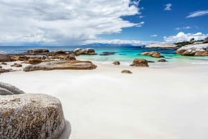 Cape Town: Penguin Watching at Boulders Beach Half Day Tour