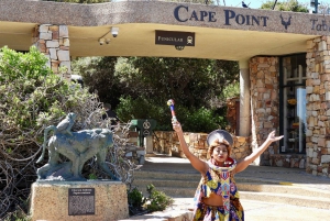 Cidade do Cabo: excursão compartilhada de meio dia aos pinguins e ao Cabo da Boa Esperança