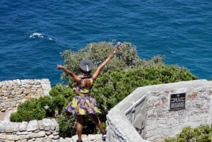 Cape Town: Penguins & Cape of Good Hope Half Day Shared Tour