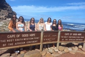 Cape Town: Penguins & Cape of Good Hope Half-Day Shared Tour