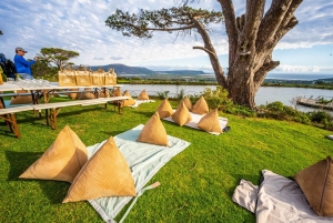 Kapstaden: Halvdagstur på halvön i jeep med guide