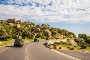 Kapstaden: Halvdagstur på halvön i jeep med guide