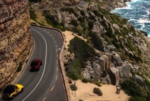 Kapstaden: Halvdagstur på halvön i jeep med guide