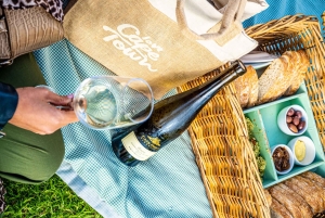 Kapstaden: Halvdagstur på halvön i jeep med guide