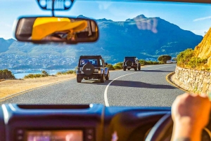 Kapstaden: Halvdagstur på halvön i jeep med guide