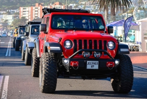 Kapstaden: Halvdagstur på halvön i jeep med guide