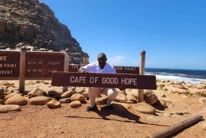 Cape Town: Peninsula, Penguins & Cape of Good Hope Day Tour